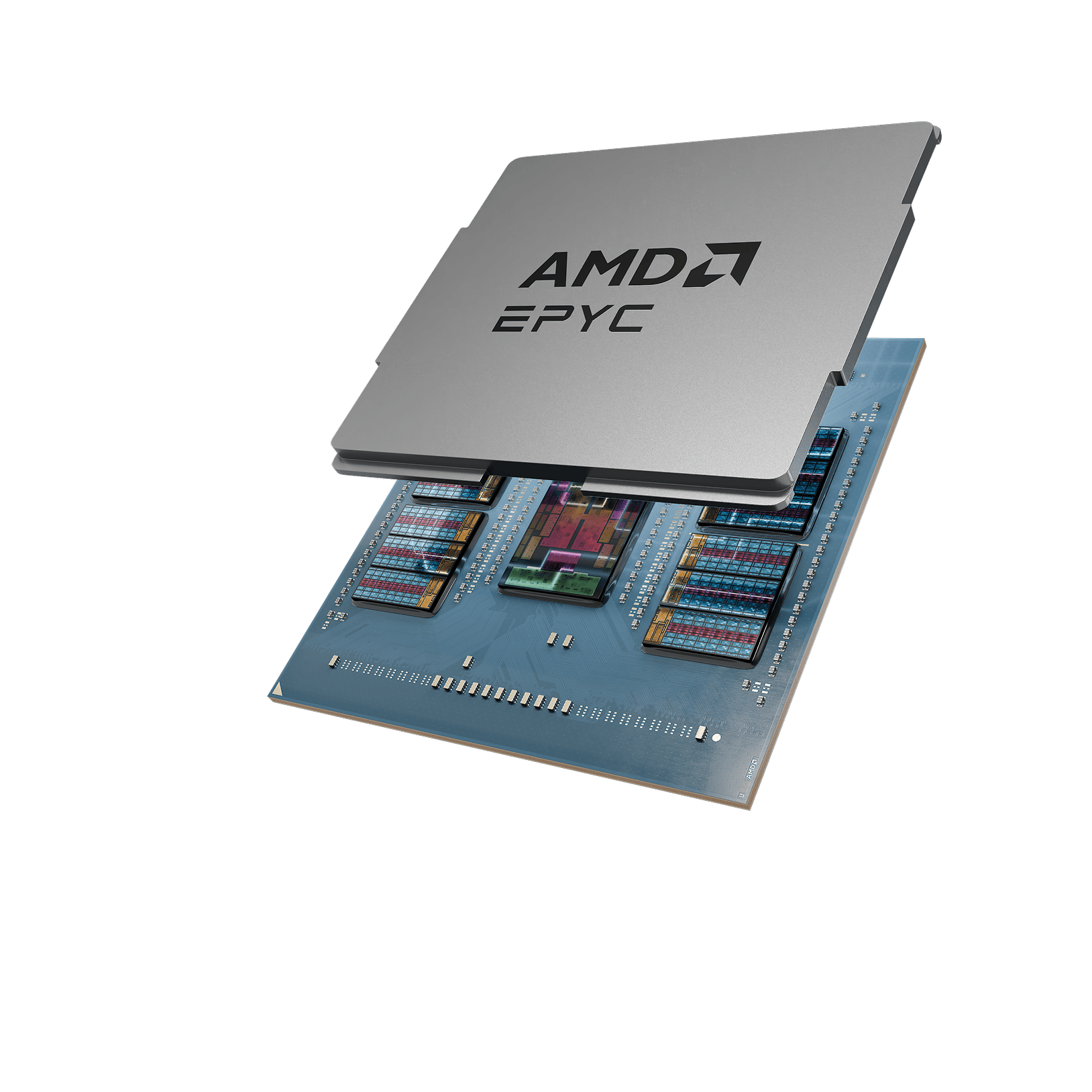Accelerate Your Infrastructure with DALCO Servers and AMD EPYC™ 9005 Series Server CPUs