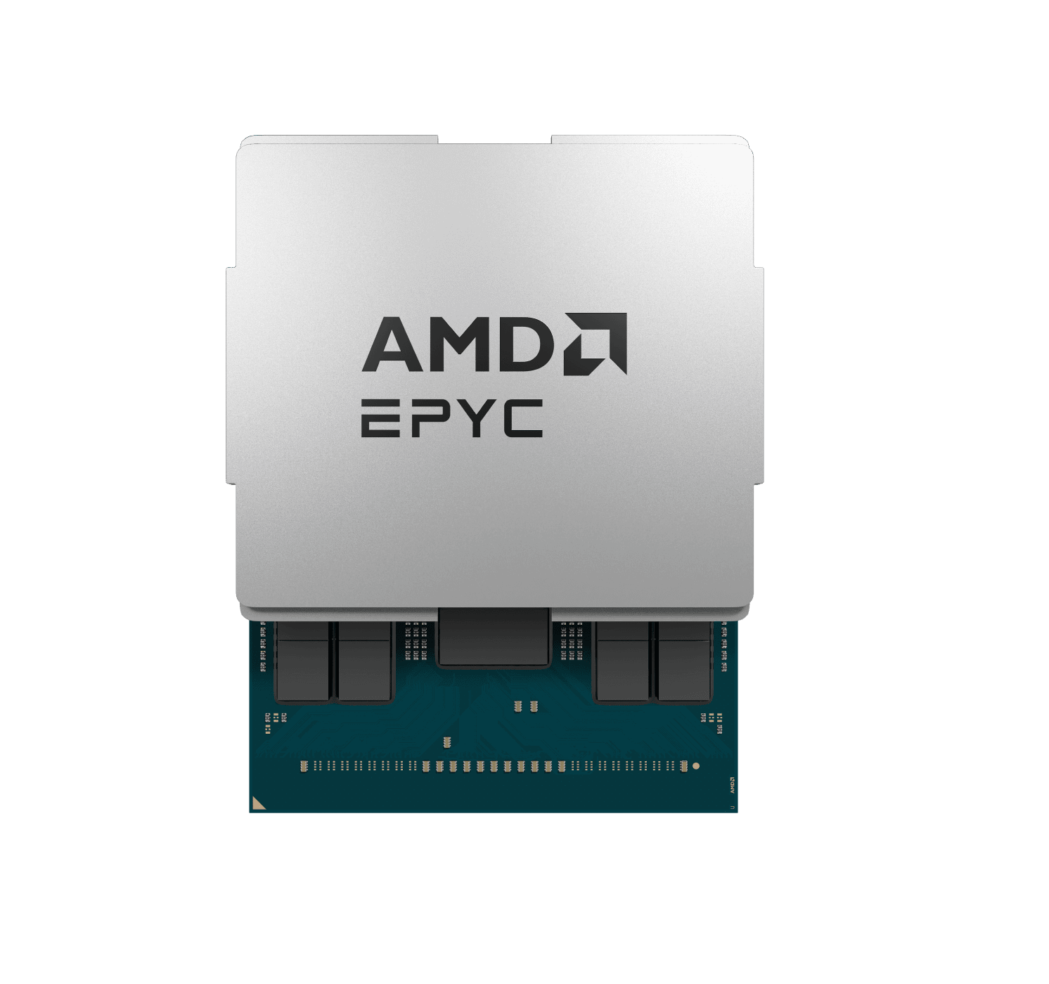 Advanced by AMD EPYC™ processors. Built by DALCO.